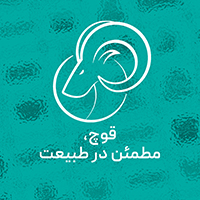 درباره قوچ
